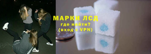индика Абаза