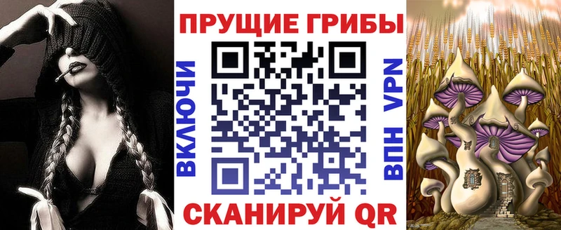 Псилоцибиновые грибы мухоморы Черепаново